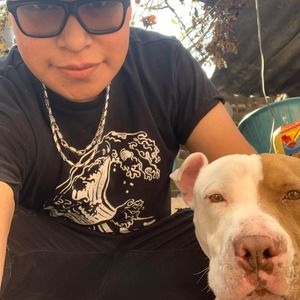 Meet your Posher, Arthur